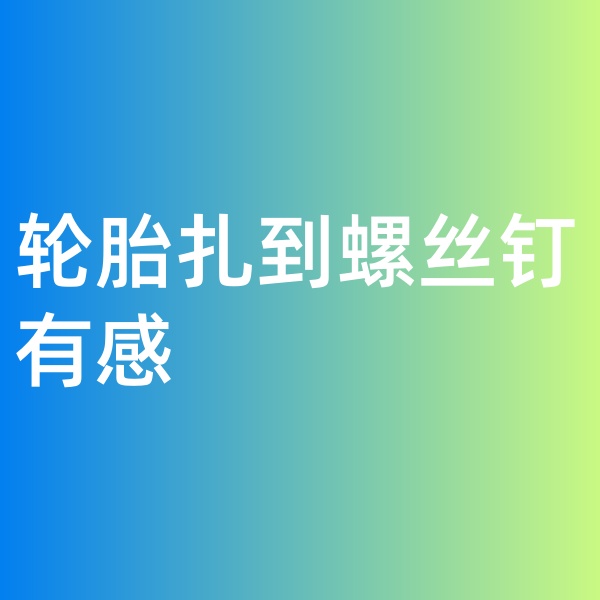 鈀碳回收，輪胎扎到螺絲釘有感