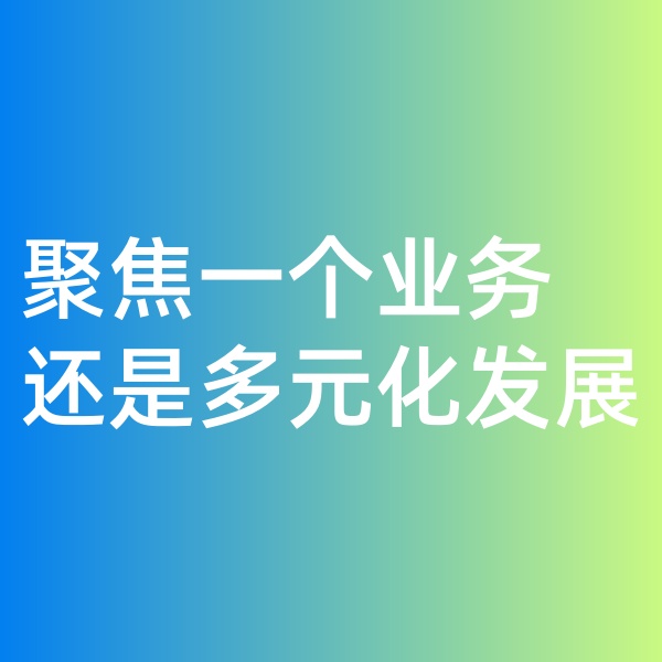 鈀碳回收, 聚焦一個業(yè)務(wù)，還是多元化發(fā)展